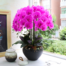 Super true moisturizing feel Phalaenopsis simulation flower fake flower Bedroom living room decoration large flower potted romantic