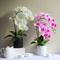 pu feel Phalaenopsis potted anti-real flowers fake flowers Silk flowers Green tea table decoration decorative flower ornaments on the dining table