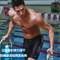 BARREL Korean diving swimming training swimming trunks elastic quick-drying sunscreen fitness tights mens New