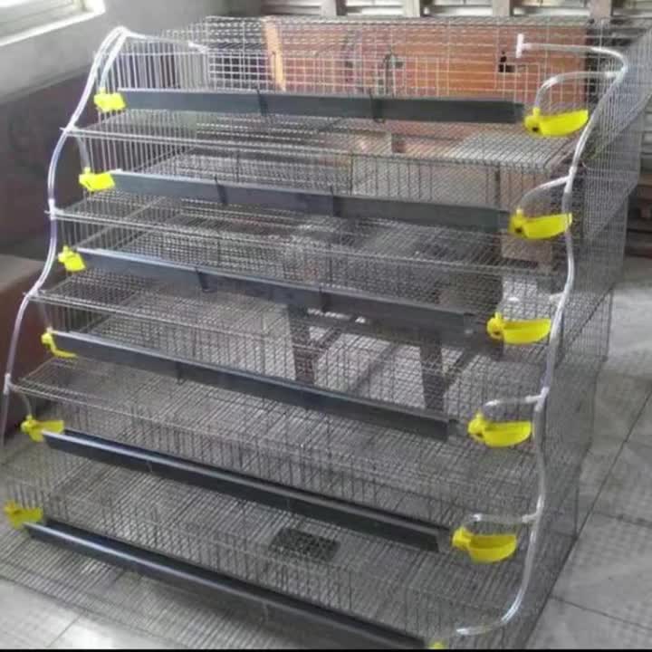 Poultry Farming Galvanized Wire Mesh Quail Battery Chicken Coop Cage Buy Automatic Quail Cage