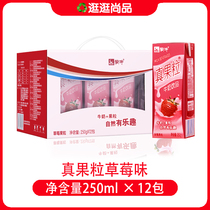 9 months of production Mengniu Real Fruit strawberry flavor 250g * 12 boxes of nutrition balance discount promotion many provinces