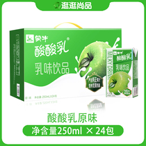 Mengniu yogurt original 250mL * 24 sour and sweet nutrition balanced discount promotion many provinces