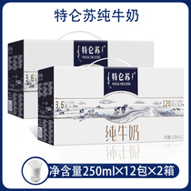 September production of Mengniu Terun pure milk 250ml * 12 boxes * 2 boxes of full-fat breakfast nutrition batch sent whole box