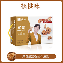 Mengniu walnut breakfast milk sterile brick 250ml * 16 boxes 11 months due nutrition balance special offer many provinces