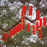 Чай улун Да Хун Пао, дорожный водонепроницаемый фонарь, складная подвеска