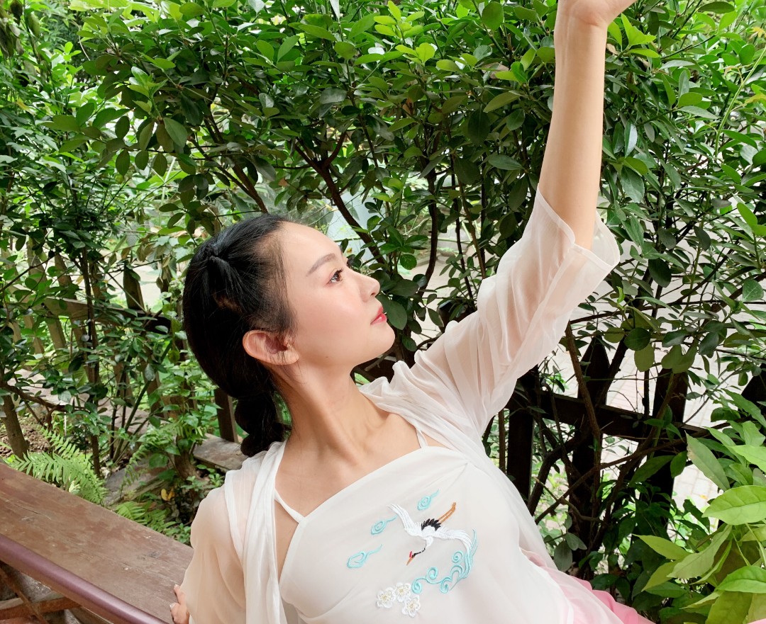 Xia Hui same retro-Han dress with daily hundred and ancient crane embroidery embroidery hanging vest coat