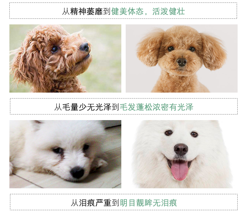 Paddytime thức ăn cho chó yêu thích nhất dành cho người lớn Chó 30 kg đầy đủ giống chó Teddy Golden Hair chủ yếu là thức ăn chủ yếu 15kg thịt bò hương vị - Chó Staples thức ăn cho poodle