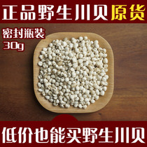 Sichuan Aba State Origin Direct Sale Pure Wild Songbei Mother No Sulphur Original Goods Small Grain 30 gr