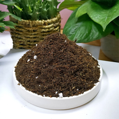 10斤胡氏多肉通用营养土有机花泥种植土