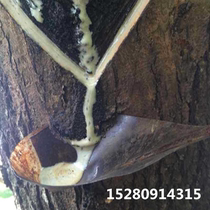 Raw paint Natural earth paint Large paint Fine filtration Quality and quantity without any addition 75 yuan a catty