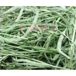 Domestic Timoxi Tianxi Produce 250g Hay Rabbit and Rabbit's fine leafy fragrance green
