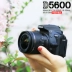 [Liên hệ dịch vụ khách hàng để gửi 18 gói quà tặng] Máy ảnh DSLR cấp độ nhập cảnh Nikon d5600 Ống kính cảm ứng lật màn hình HD chụp ảnh du lịch HD máy ảnh kỹ thuật số chuyên nghiệp Guoxing SF - SLR kỹ thuật số chuyên nghiệp máy chụp ảnh SLR kỹ thuật số chuyên nghiệp