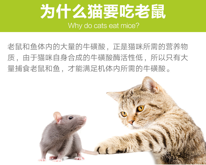 American Bay Cat Taurine Cat Powder Powder Vitamin Catamine Taurine Powder Nữ sau sinh Dinh dưỡng Amino Acid - Cat / Dog Health bổ sung 	sữa cho chó có bầu