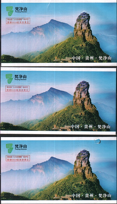 Guizhou Tongren Fanjing Mountain Scenic Area Tourist Tickets Sightseeing Tickets 3 pieces for a group of different information on the back