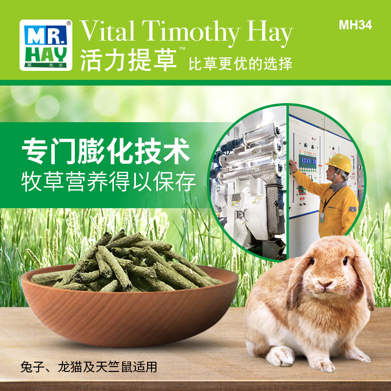 MR HAY Mr Hay Grass Rabbit Chinchilla Guinea Pig Timothy Grass Hay Forage 400g 800g