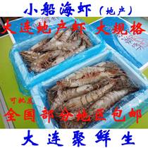 Domestic New Live Frozen Small Boat Sea Green Shrimp 1kg Large Specifications Frozen Big to Sea Shrimp Seafood