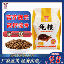 Dingfu turtle grain stone money Flame grass turtle Brazilian red-eared turtle Color turtle Crocodile turtle General young turtle Small turtle feed