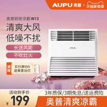  AOPU Liangba kitchen integrated ceiling fan Kitchen Liangba special cold pa ceiling embedded W13 W14