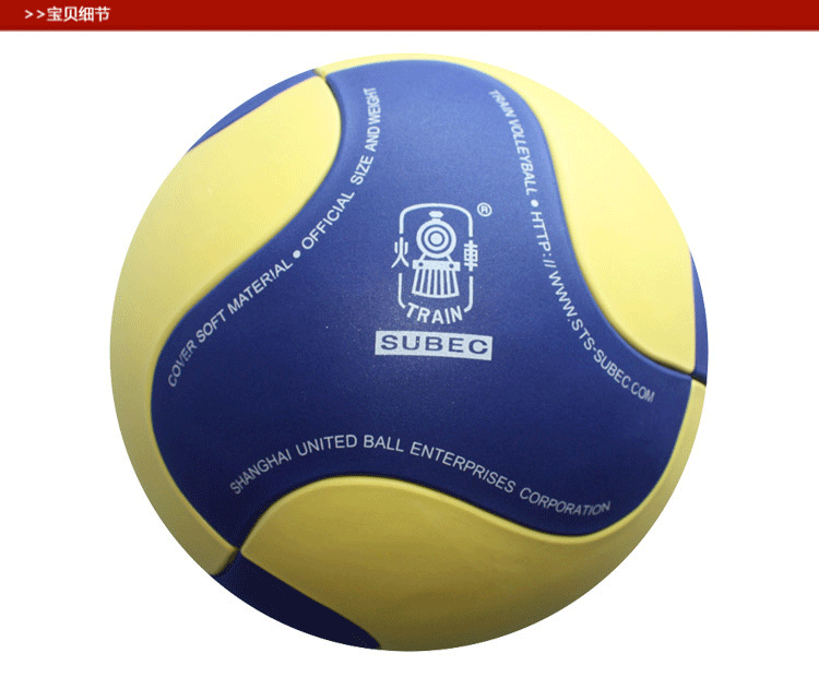 Ballon de volley-ball - Ref 2010030 Image 15
