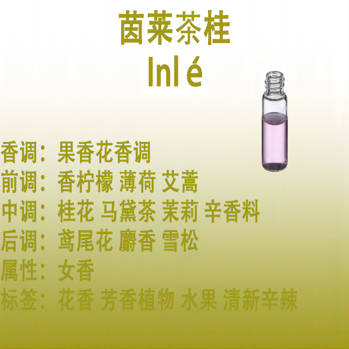 茵莱茶桂   Inl&eacute;