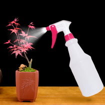 Household pressure disinfection watering can Nozzle nozzle ultra-fine atomization alcohol scale spray bottle plastic watering 500ml