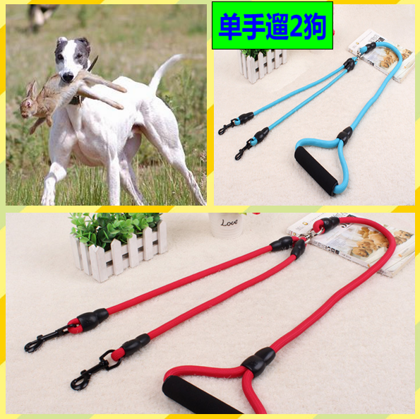 Greeledog traction rope twin nylon holds 2 dogs Hubit Ghui dog chain double hook