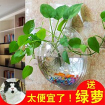 Basin small force hanging wall decoration creative wall hanging wall flower hanging fish tank Yake aquarium wall box decoration