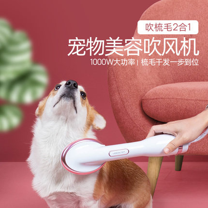 Pet Hair Dryer Mute Doggie Teddy Kitty Mini Dog Special Blow Water Machine Lafur Fur God Instrumental Blow Hair Comb