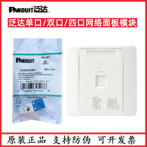 Panduit PANDUIT single port double hole four-position panel flat port CFPL86F2SAW 2-position oblique port CFP86S2IW