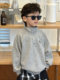 Boys' Spring and Autumn Sweatshirt 2025 New Style Boys' Autumn Casual Long-Sleeve Top Stylish Base Shirt Children's Trendy Clothing