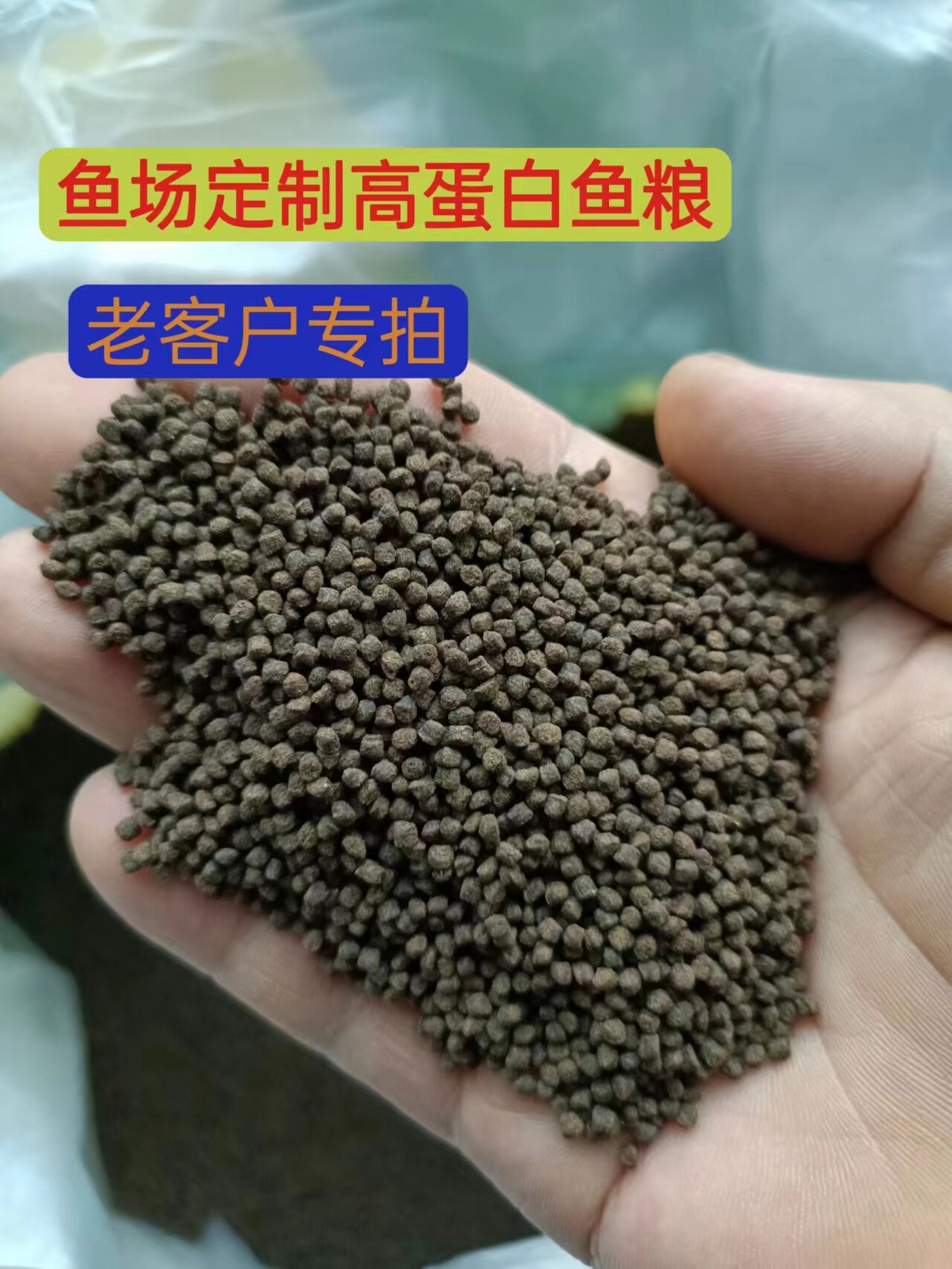 兰寿泰狮观赏鱼49高蛋白饲料，让你的鱼儿健康又美丽 🐟 -观赏鱼饲料-淘宝好物网