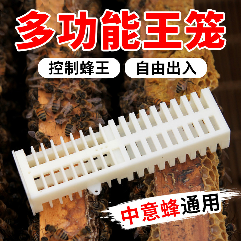 Bee bee tools plastic bee bee multifunctional bee queen cage prisoner bee in the bee cage bee bee
