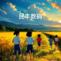 民丰数码