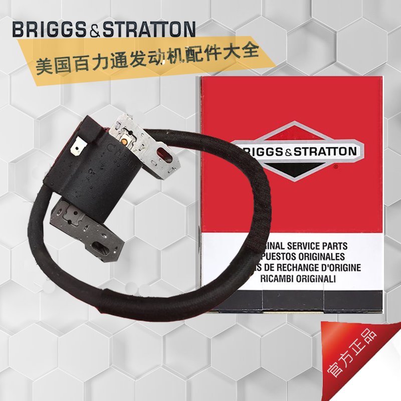 100 Force-Ton Petrol Engine Ignition Coil High Pressure Pack Double Cylinder Generator Cleaner cleaning machine Bailey Tunes