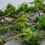 Имитация мха, мертвых веток, виноградных лоз, ветвей, зеленых растений, фоновой стены, изогнутой формы, ландшафтного дизайна, украшения