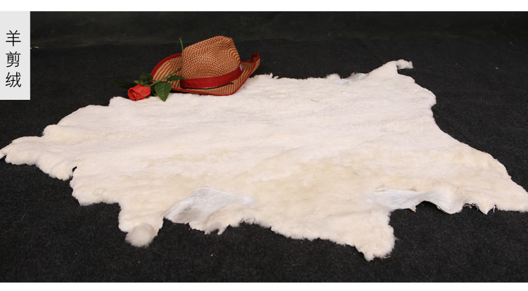 Toàn bộ Da cừu Sofa Mat Phòng ngủ Chăn Thảm Hộ gia đình Đệm lông Fur Một cửa sổ Mat Mat tham long