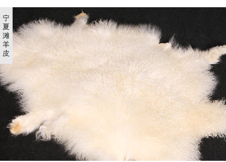 Toàn bộ Da cừu Sofa Mat Phòng ngủ Chăn Thảm Hộ gia đình Đệm lông Fur Một cửa sổ Mat Mat tham long