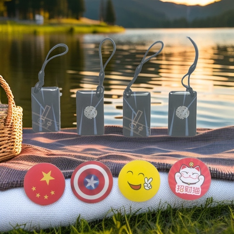 Suitable for Lambo Pin Duo Fingerprint Lock Card, Hengcheng Noto Smart Password Magnetic Card, Quanyiteng Solid Hongli Access Control