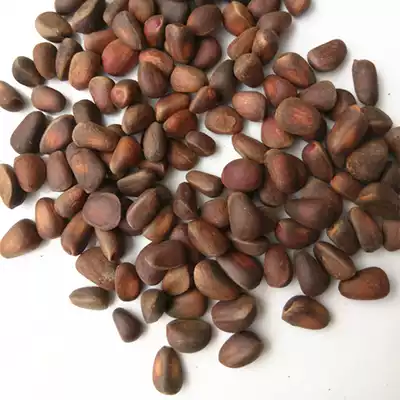 20 New Cargo Snow Pine nuts Russian Cedar raw pine nuts boiled pine nuts Boiled pine nuts large grain 250 grams 2 pieces