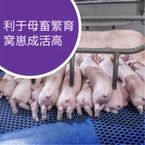 Vinomilli и Циндуомин ветеринарные следовые элементы добавляют минералы для увеличения плесени яичной плесени и деморитного скота и размножения птицы Аквакультуры