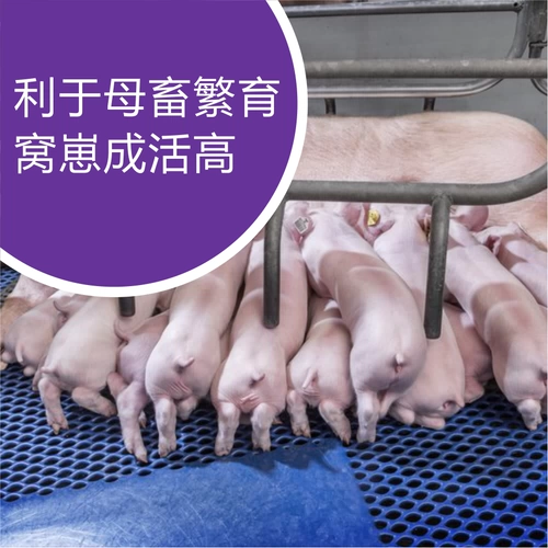 Vinomilli и Циндуомин ветеринарные следовые элементы добавляют минералы для увеличения плесени яичной плесени и деморитного скота и размножения птицы Аквакультуры