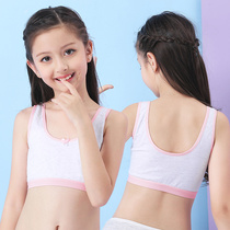 children's pure cotton bras girl underwear vest developmental period 9-12 years old kids 15 bra elementary school girl