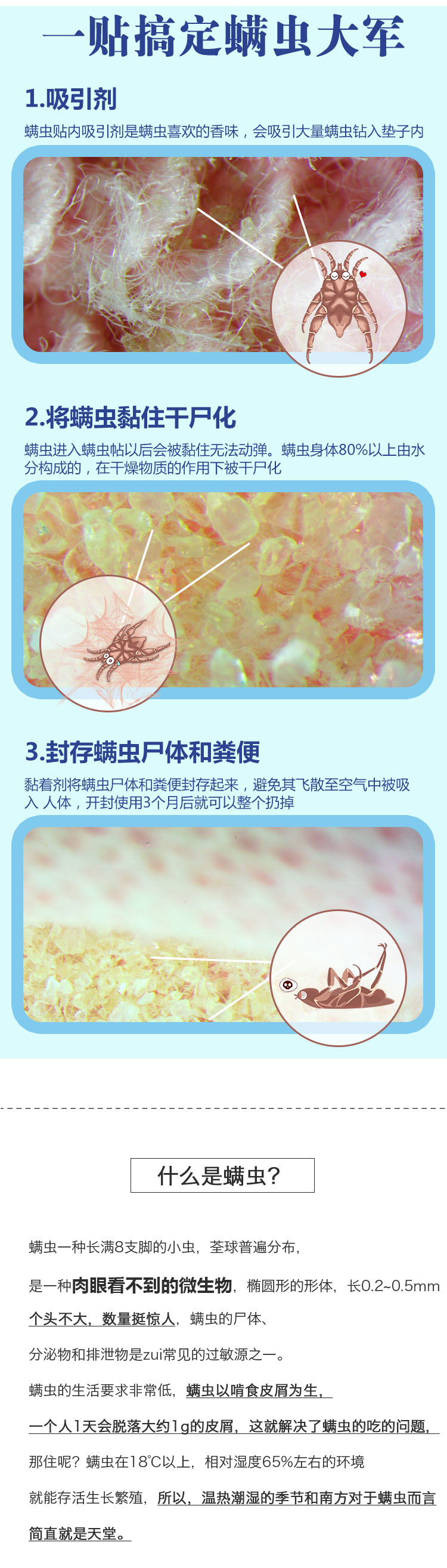 bình xịt raid Tỷ lệ ve 99% │ Nhật Bản Maru Rong 螨 3 mẫu giường sofa gia dụng an toàn cho phụ nữ mang thai trẻ sơ sinh - Thuốc diệt côn trùng bình xịt muỗi giá rẻ