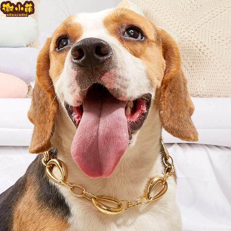 Pet Necklace Dog Cat Collar Jewelry Net Celebrity Exaggerated Bago Method Necklace Medium and Large Dog Accessories Pendant