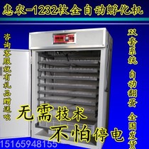 Huinong automatic incubator chicken household incubator hatching equipment egg machine double power supply chick incubator