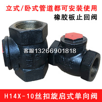 H14-10 Silk Mouth Swing Check Valve Clap Vertical Check Valve DN25 32 40 50 65