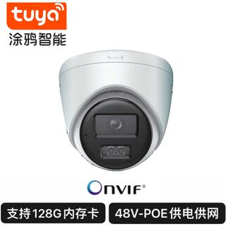 涂鸦智能POE家用监控500万对讲球机双频云台网络半球摄像头超高清48v/Poe网线供电DC室内外防水防尘