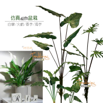 Simulation of fake indoor courtyard water bamboo white palm fire crane spring sea Taro calla lily leaf beam green plant bonsai plant