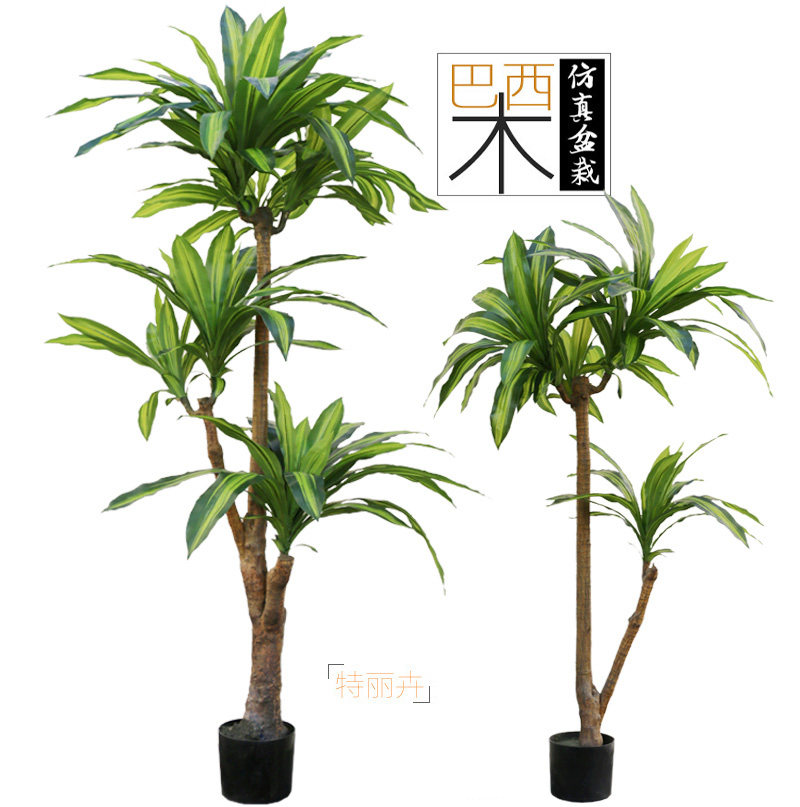 Simulation Brazilian wood iron dragon blood tree Chinese style Zen style sample room tea room floor green plant potted landscape decoration