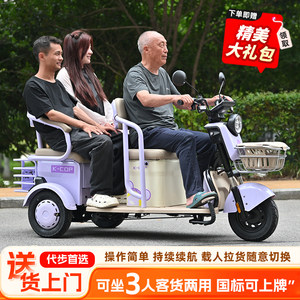 New Model of National Standard Electric Tricycle, Small-Sized Household Vehicle for Picking up and Dropping Off Children, Elderly People, and for Leisure Travel, Electric Tricycle for Carrying Goods